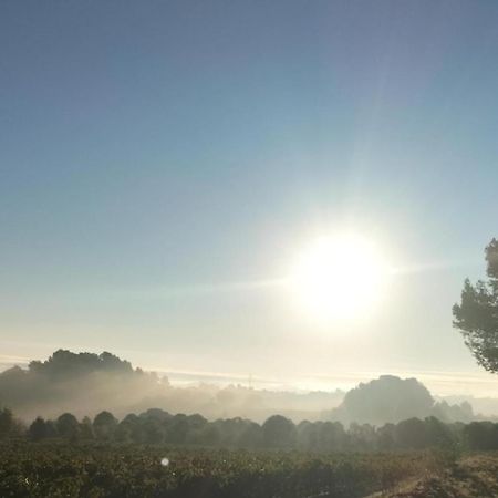 Gites A Moussan ,Domaine De La Barque A 5 Mins De Narbonne Esterno foto