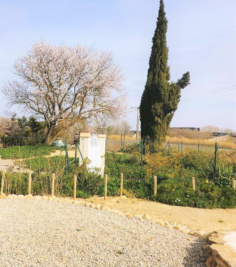 Gites A Moussan ,Domaine De La Barque A 5 Mins De Narbonne Esterno foto