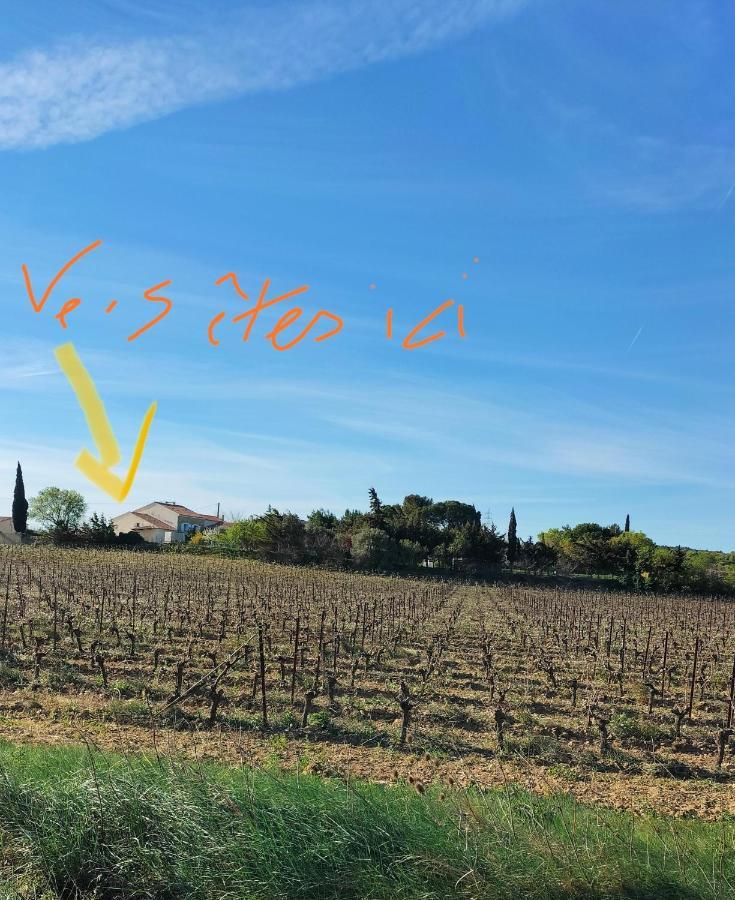 Gites A Moussan ,Domaine De La Barque A 5 Mins De Narbonne Esterno foto