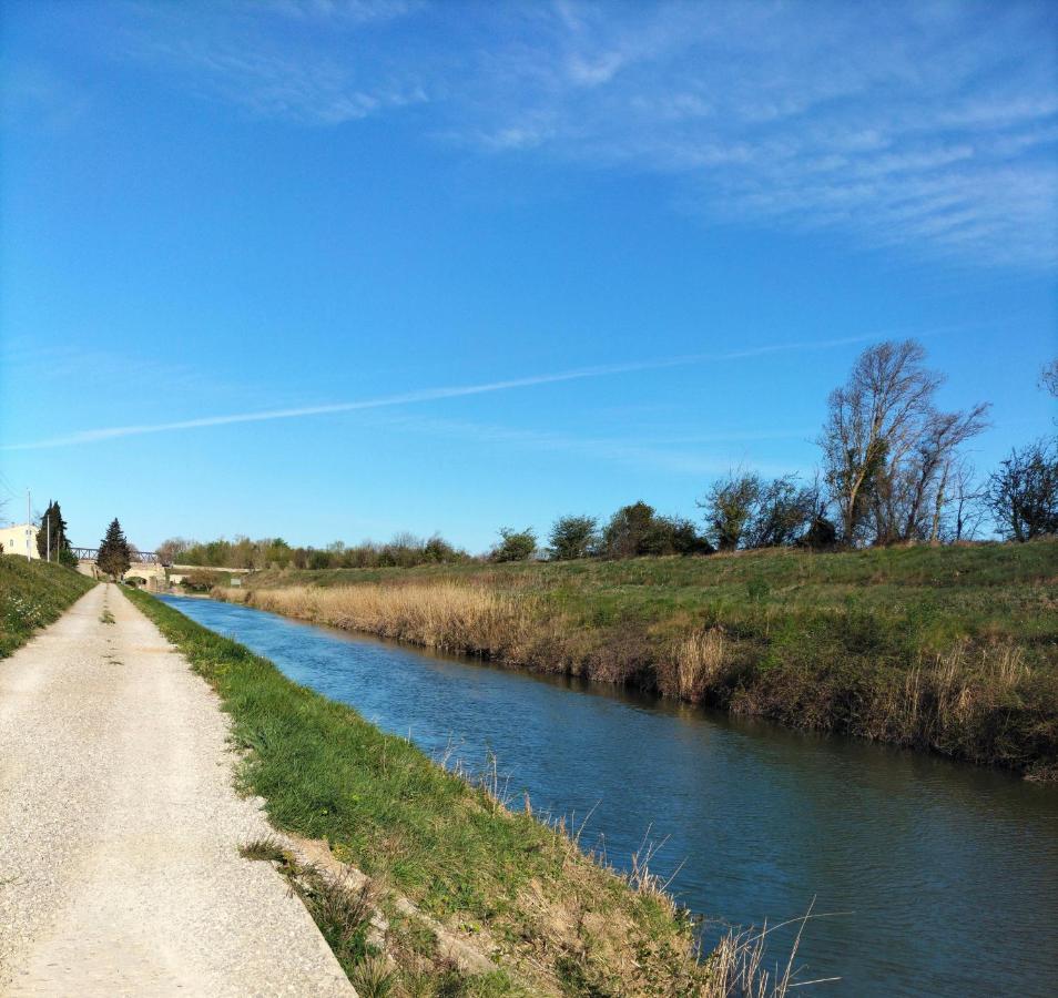 Gites A Moussan ,Domaine De La Barque A 5 Mins De Narbonne Esterno foto