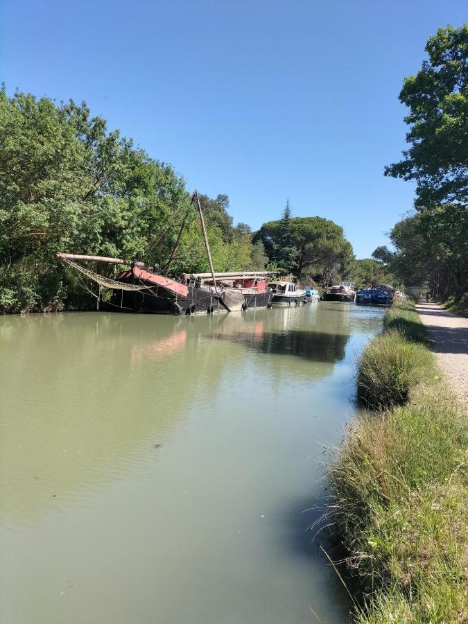 Gites A Moussan ,Domaine De La Barque A 5 Mins De Narbonne Esterno foto