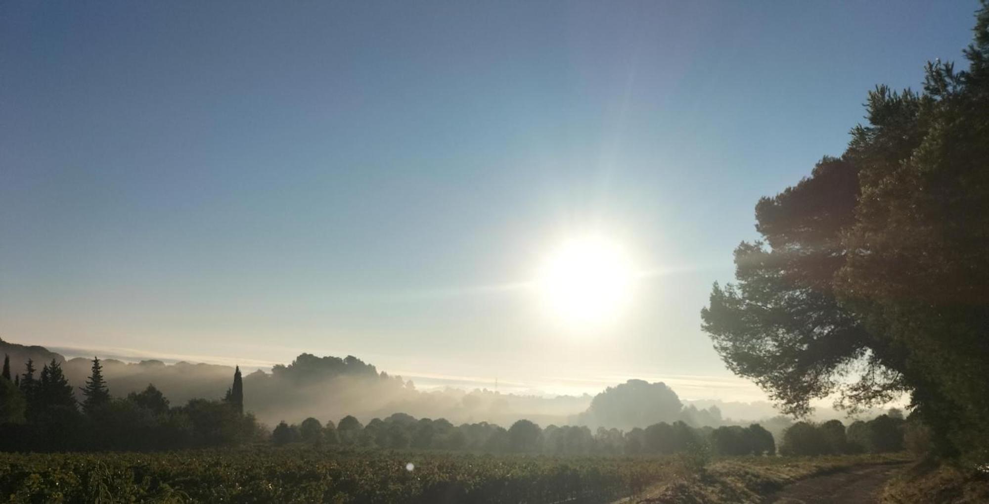 Gites A Moussan ,Domaine De La Barque A 5 Mins De Narbonne Esterno foto